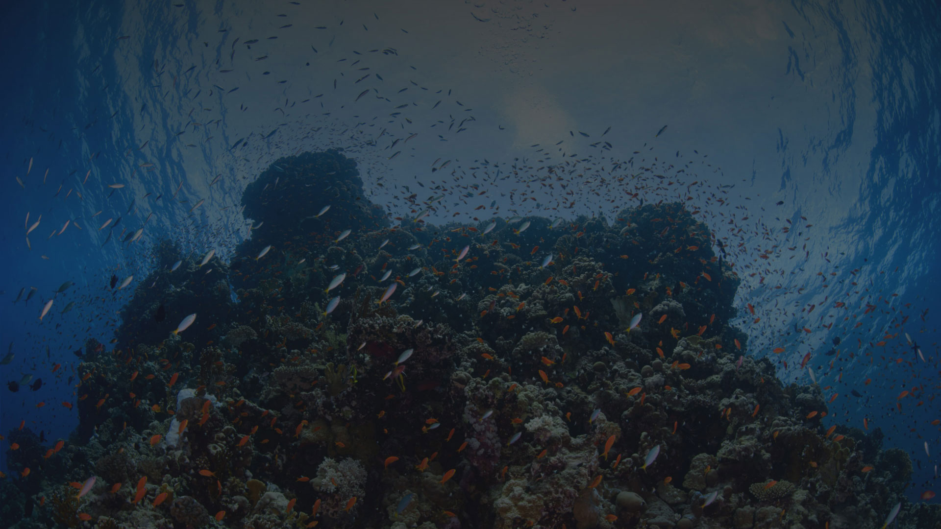 Desktop Image
