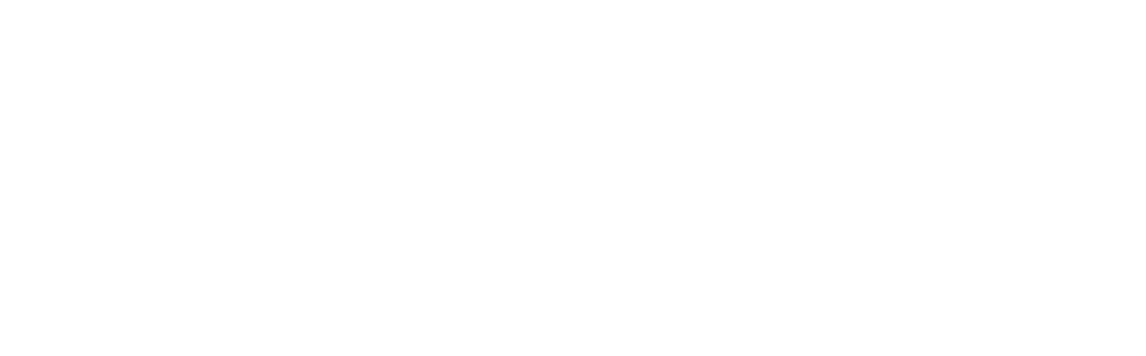 Epicon Logo White