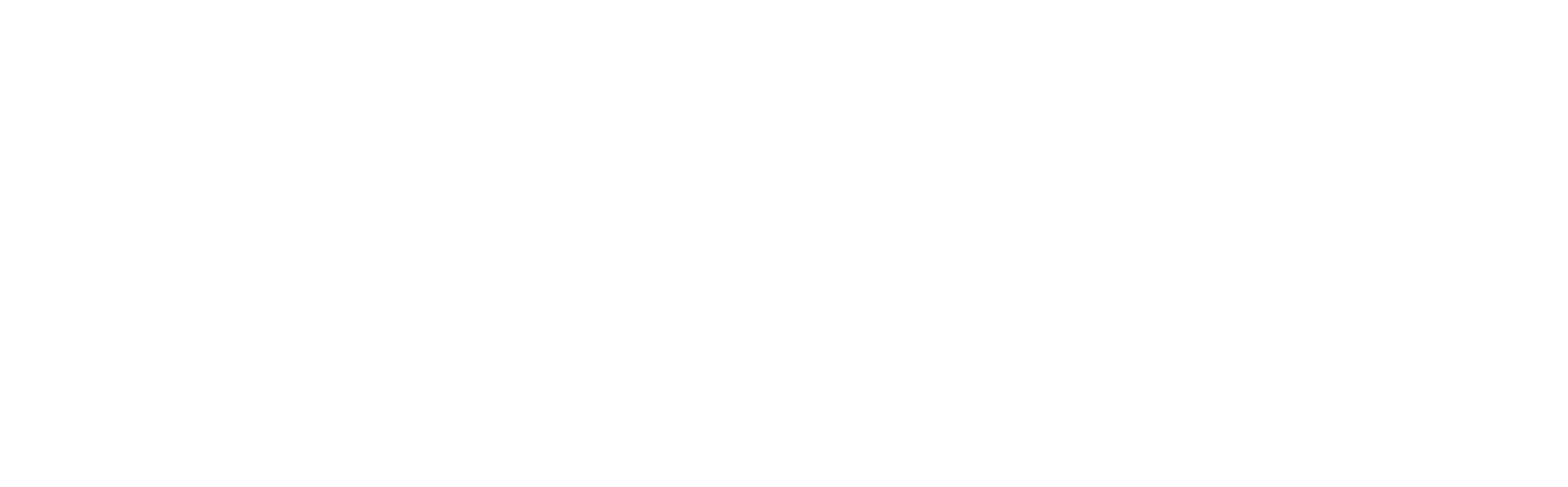 Leyja Logo