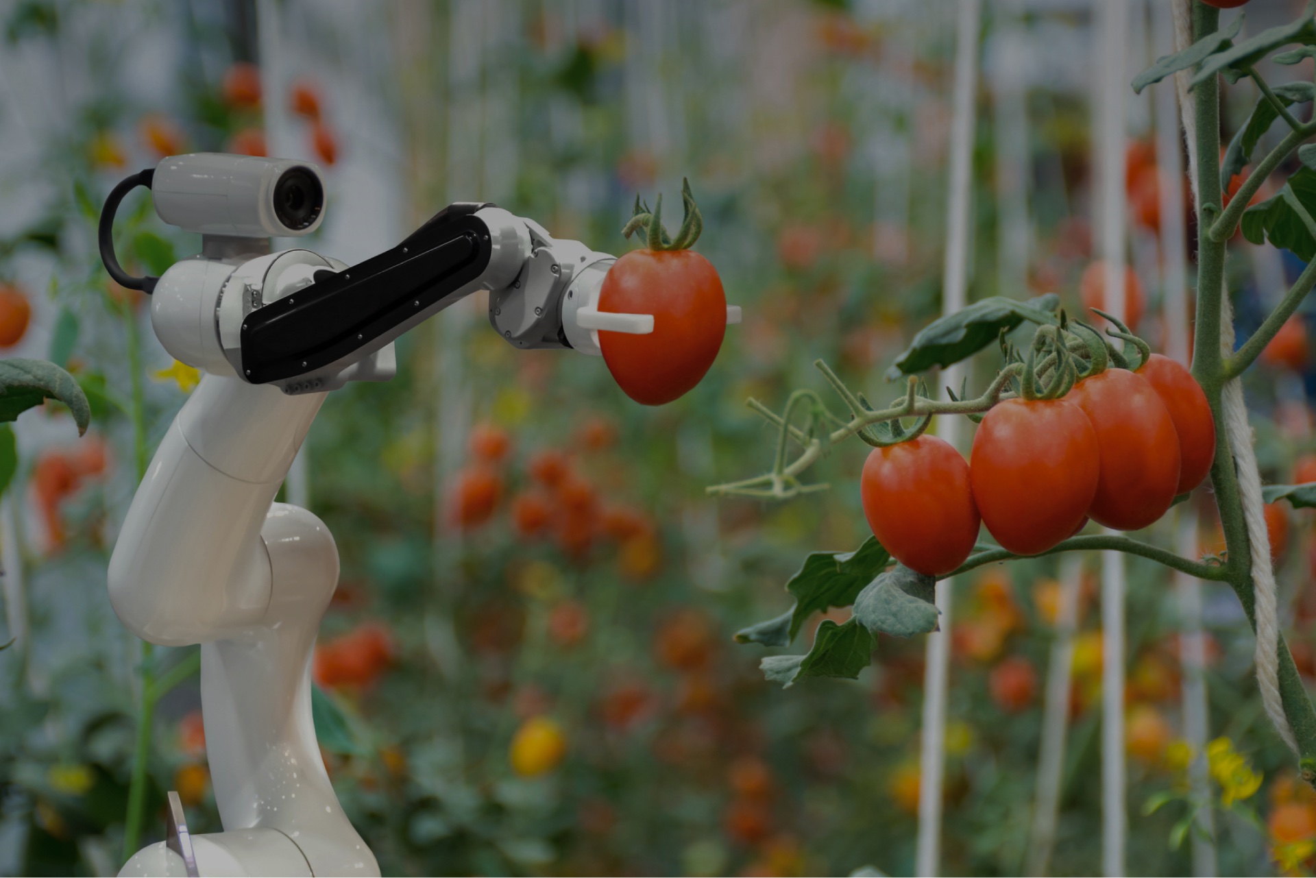 THE FUTURE OF FOOD