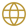 Globe icon