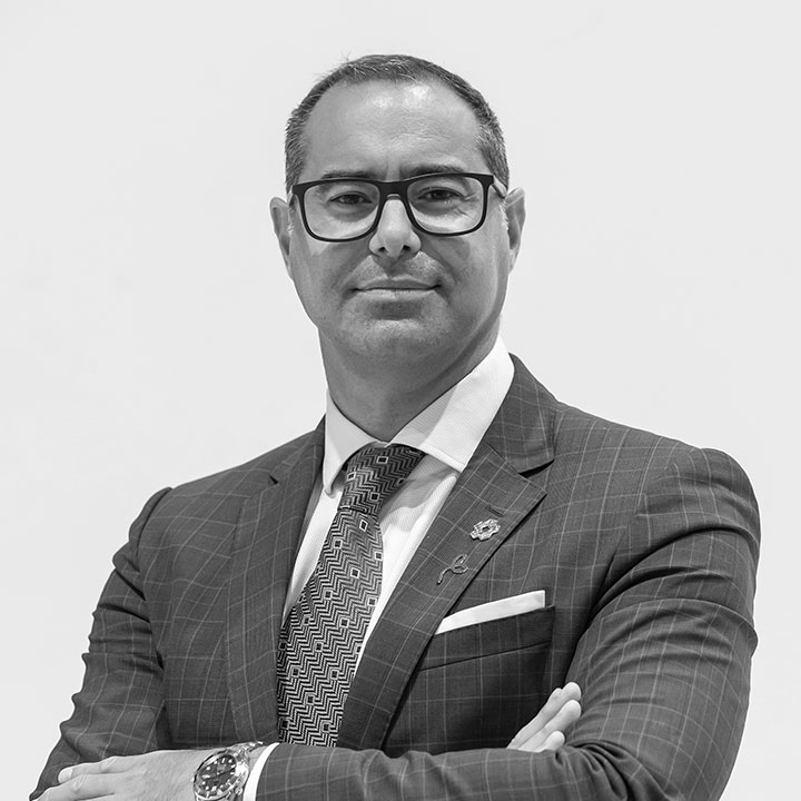 Flavio Alzueta Bosarich