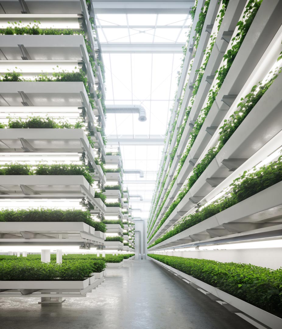 Climate-positive growing solutions