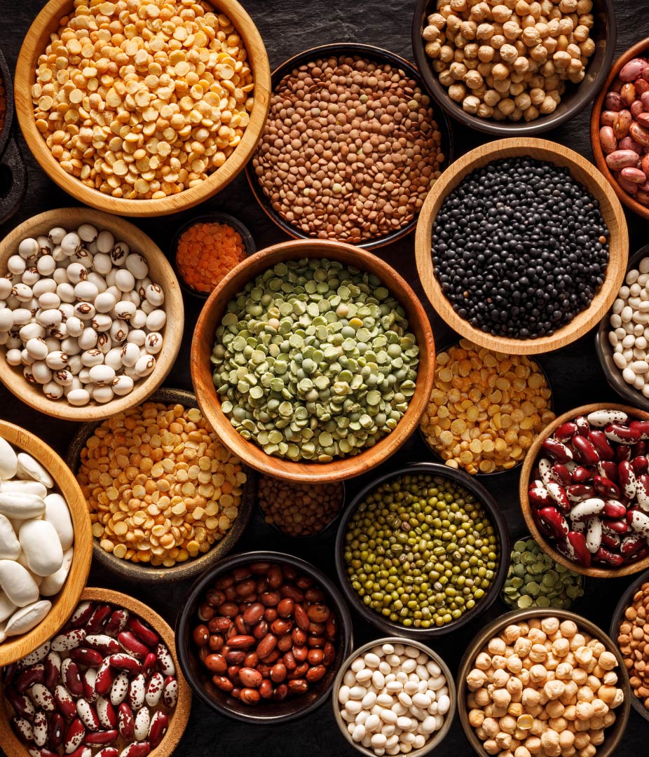Novel foods & plant-based alternatives