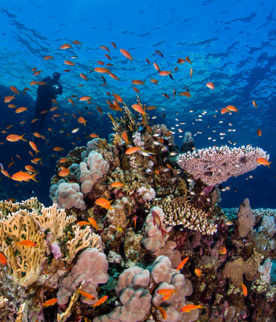  Expériences uniques dans la nature