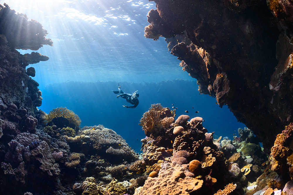 Restoring biodiversity