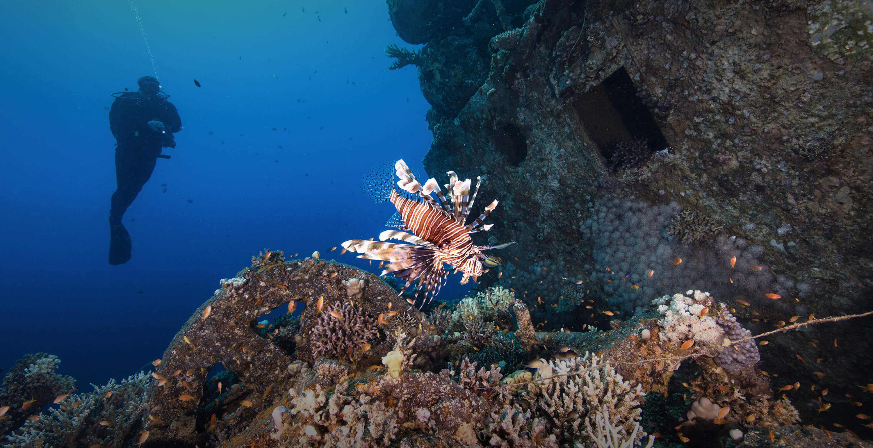 neom-kaust-coral-garden-mou