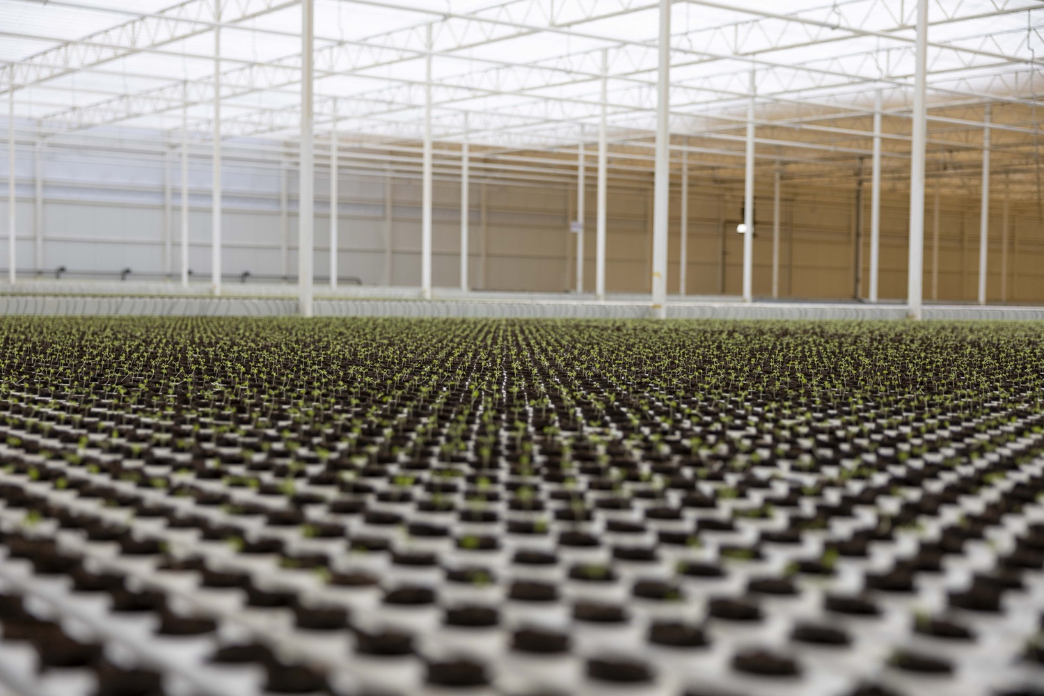 climate-resilient greenhouse
