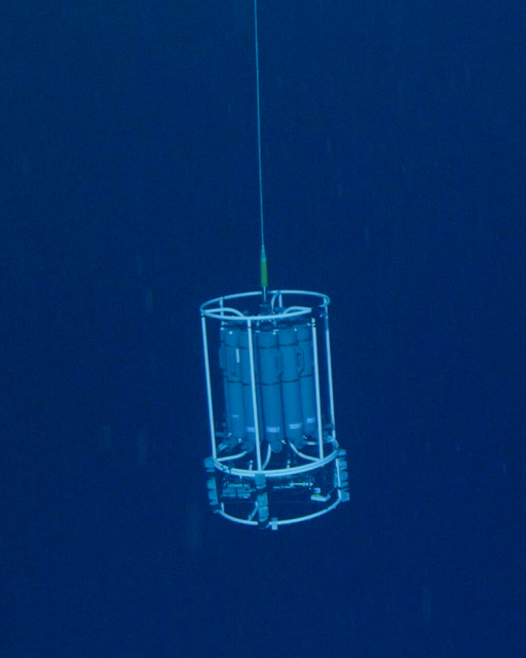 Ocean X Gallery 02