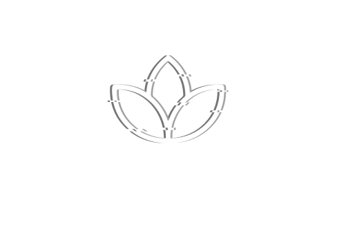 Blossom Accelerator logo