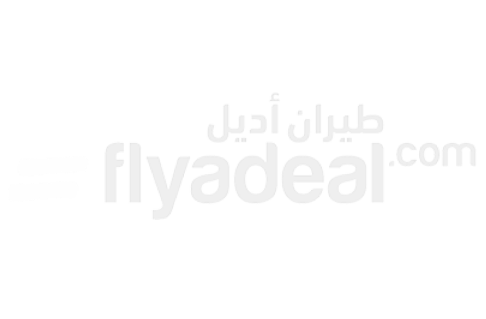  fly logo