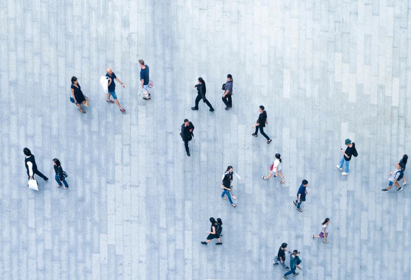 proc human capital