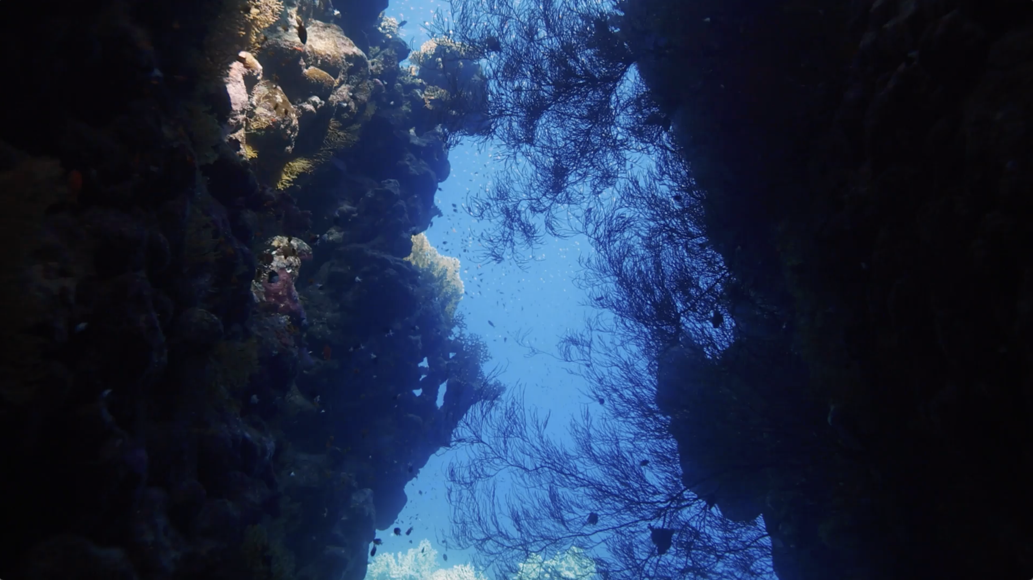 Sindalah: the gateway to the Red Sea